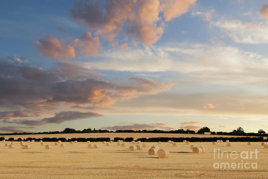 Norfolk hay bales basking in the sunset glow Photograph by Simon Bratt