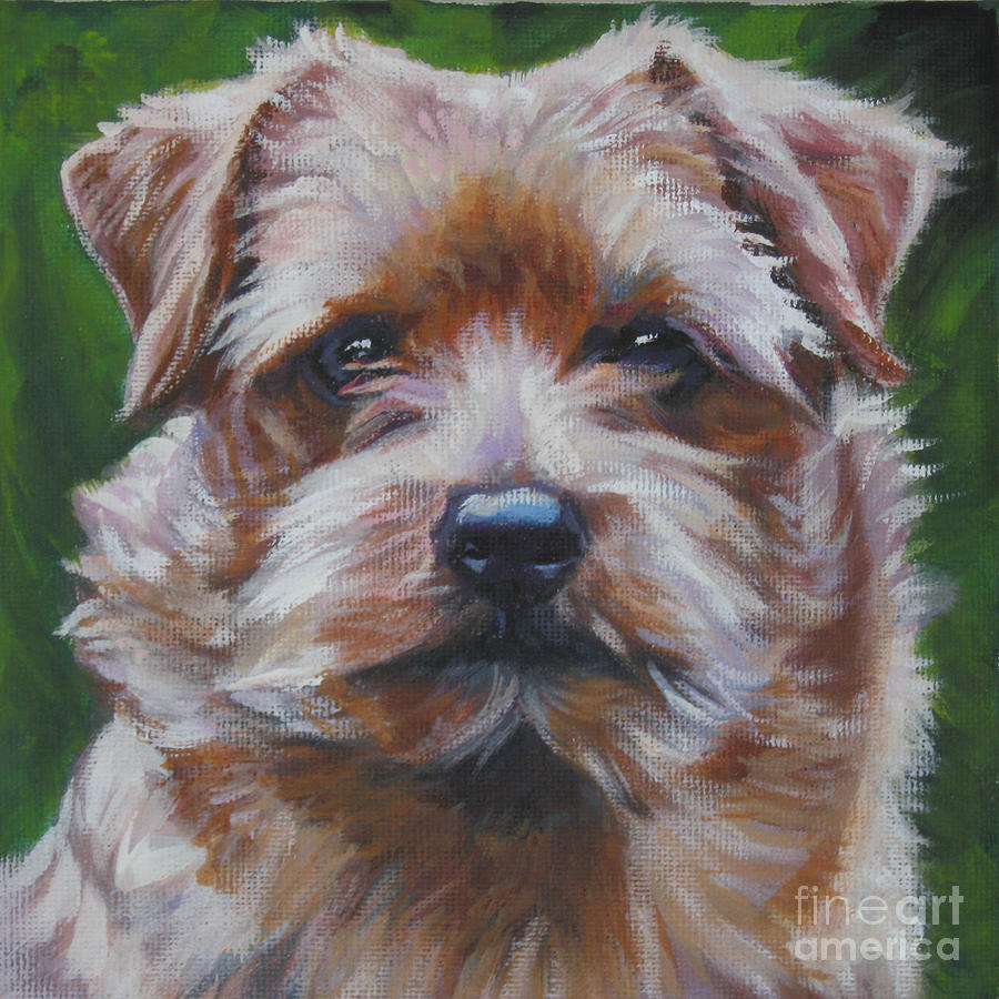 Norfolk Terrier Painting by Lee Ann Shepard