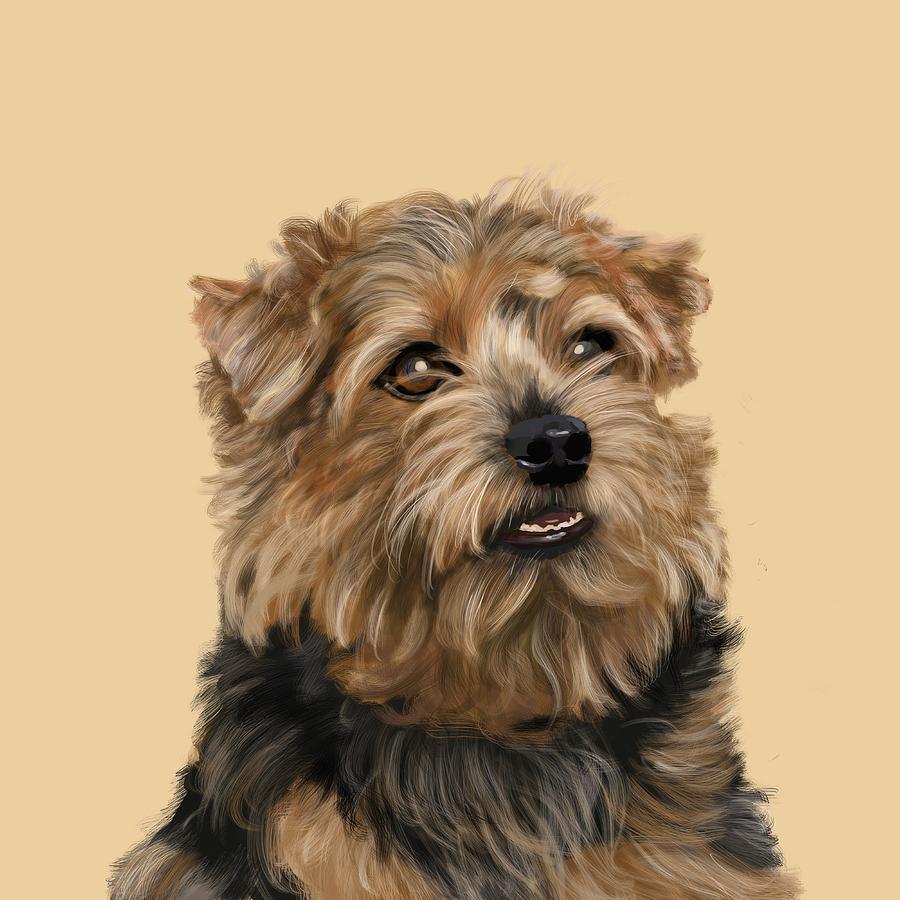 Norfolk Terrier Print Pastel by Victoria Newton | Fine Art America