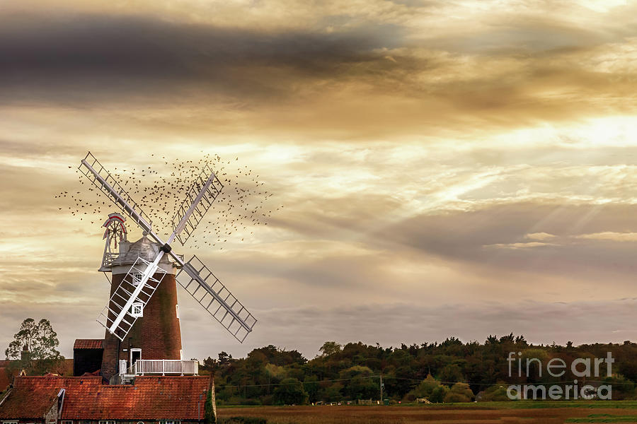 Cley windmill Norfolk with flock of birds at sunset Photograph by Simon Bratt