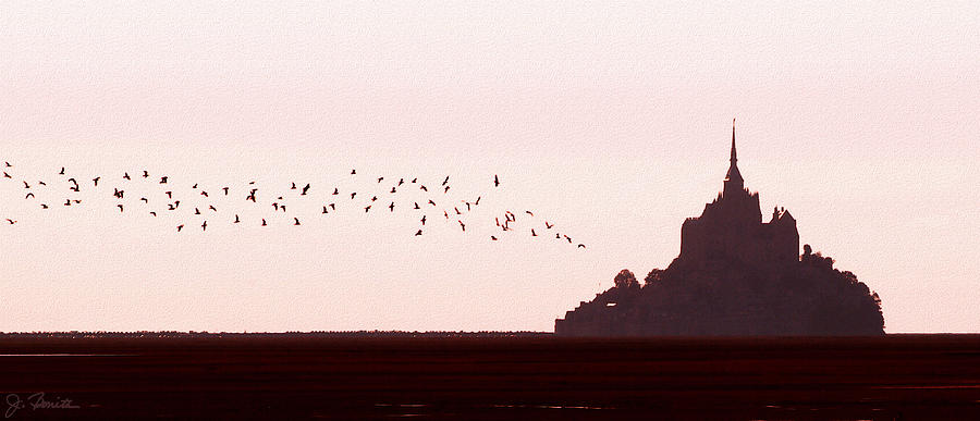 Bird Photograph - Normandy Dusk by Joe Bonita