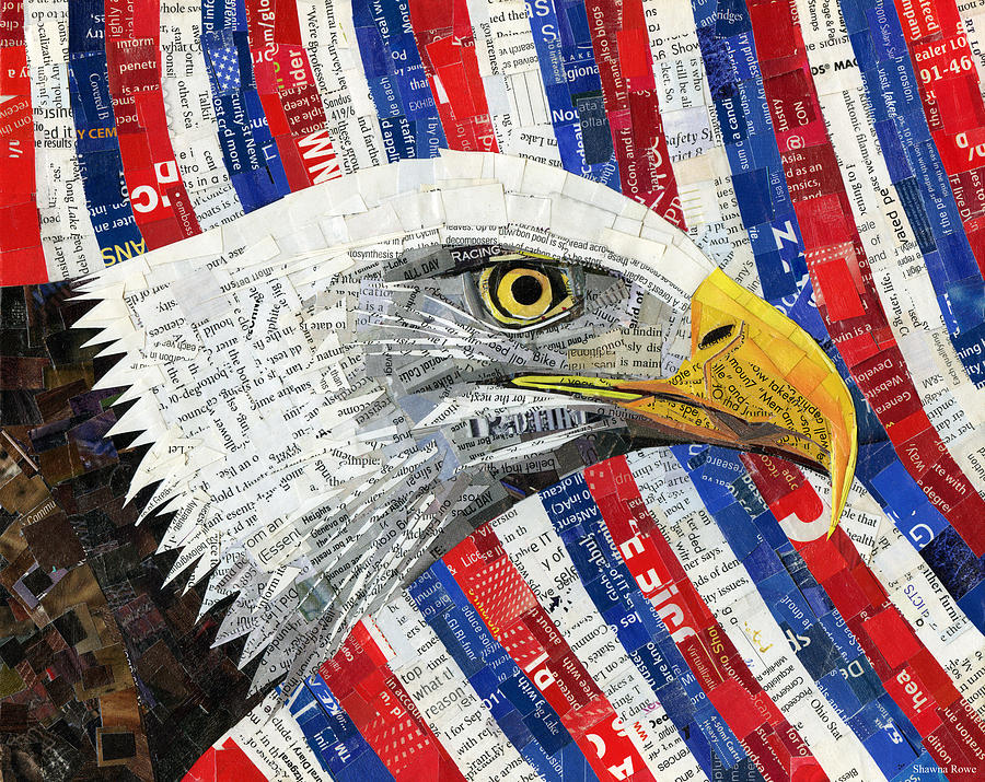 North American Bald Eagle Mixed Media by Shawna Rowe