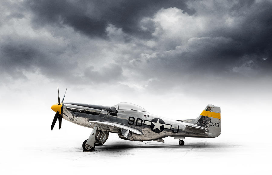 North American P-51 Mustang Digital Art by Douglas Pittman