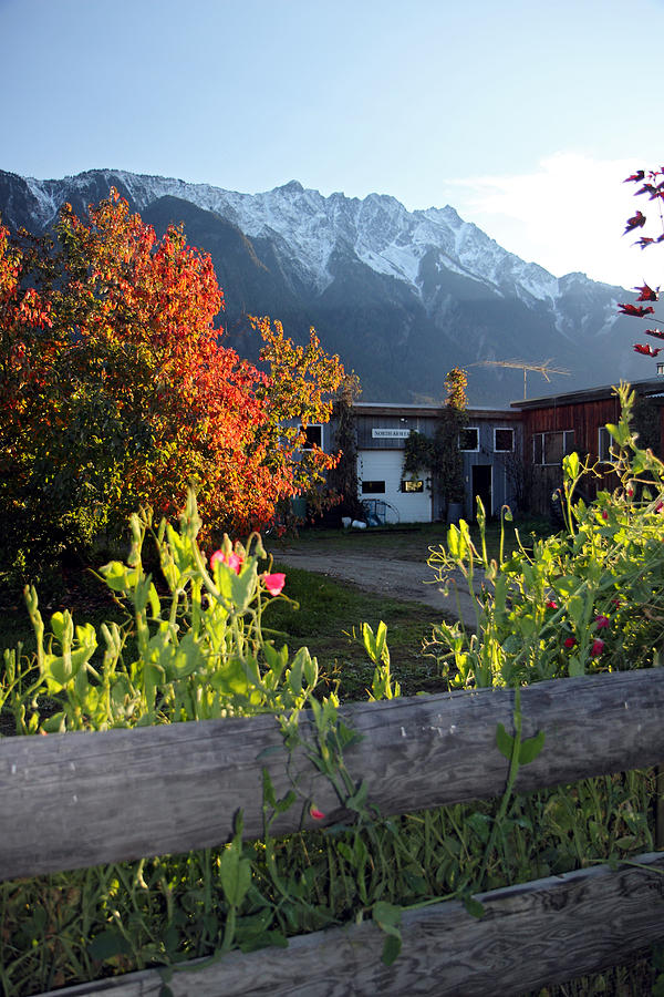 North Arm Farm in autumn Photograph by Pierre Leclerc Photography