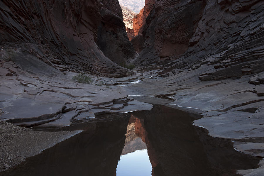 North Canyon Reflection Photograph by Mike Buchheit