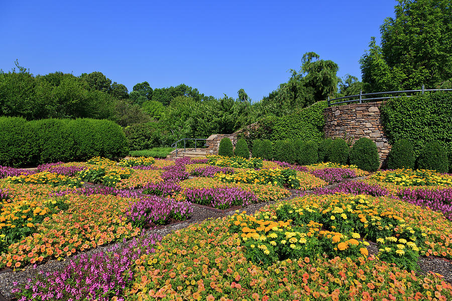 North Carolina Arboretum Quilt Garden Photograph by Jill Lang