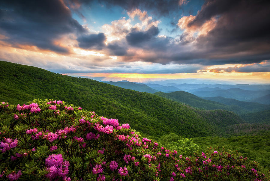North Carolina Blue Ridge Parkway Scenic Landscape Asheville NC Photograph by Dave Allen