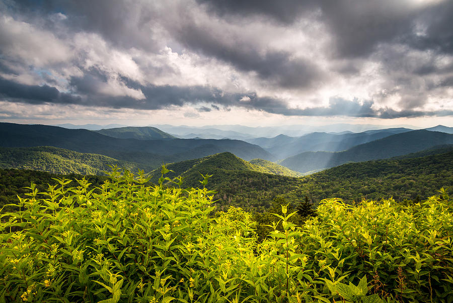 Nature Photograph - North Carolina Blue Ridge Parkway Scenic Landscape Photography Asheville NC by Dave Allen
