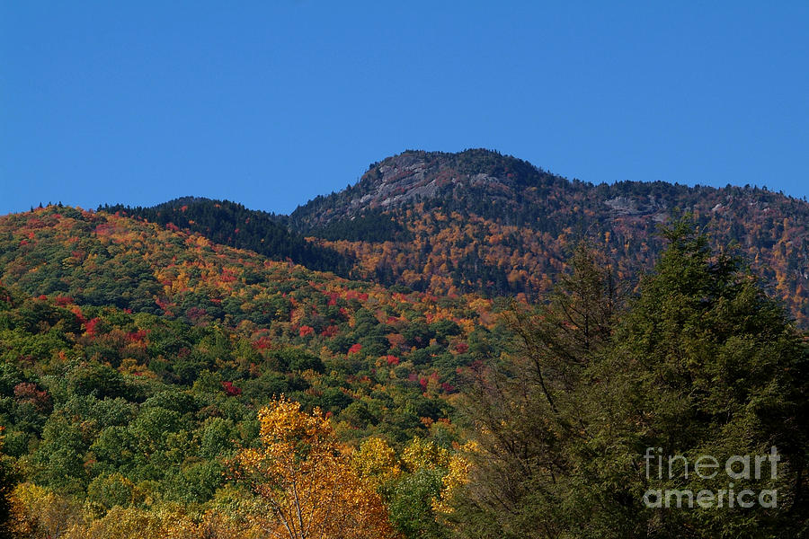 Mountain Photograph - North Carolina Fall by Christal Randolph