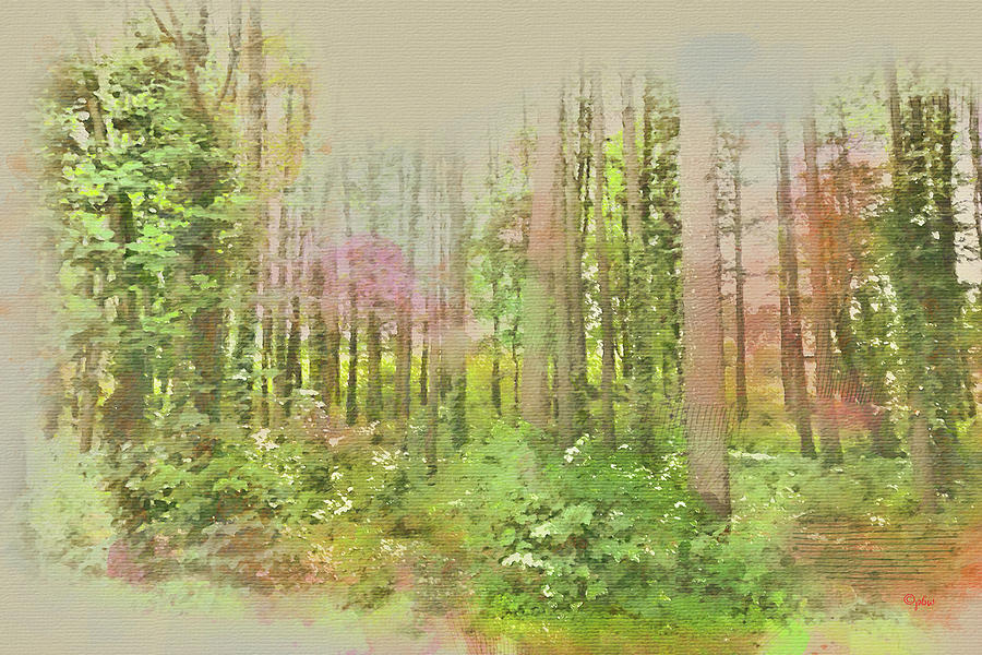 North Carolina Forest Digital Art