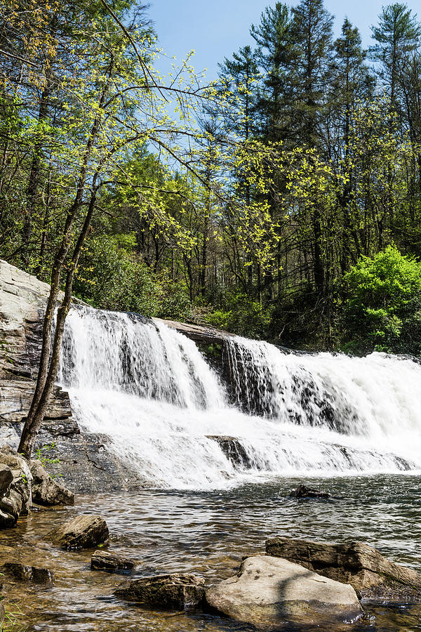 North Carolina Mountain Waterfall Photograph by Tammy Ray
