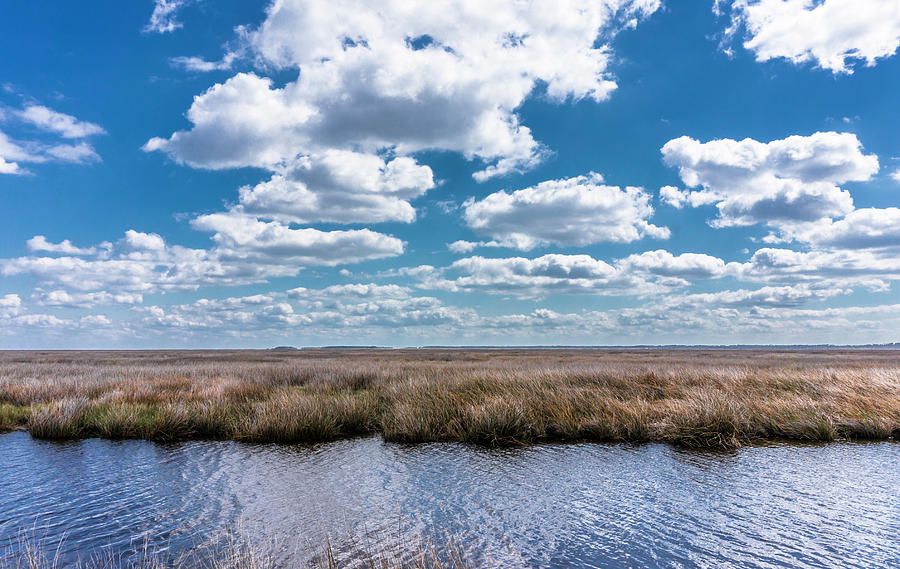 North Carolina Outer Banks salt marsh. Photograph by WAZgriffin Digital
