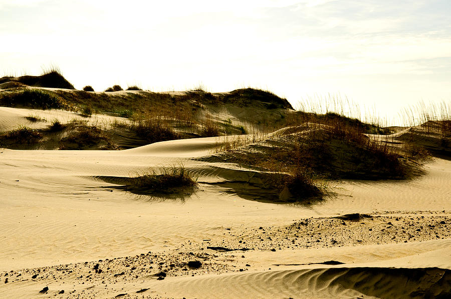 North Carolina Sand Dunes Photograph by Louis Dallara