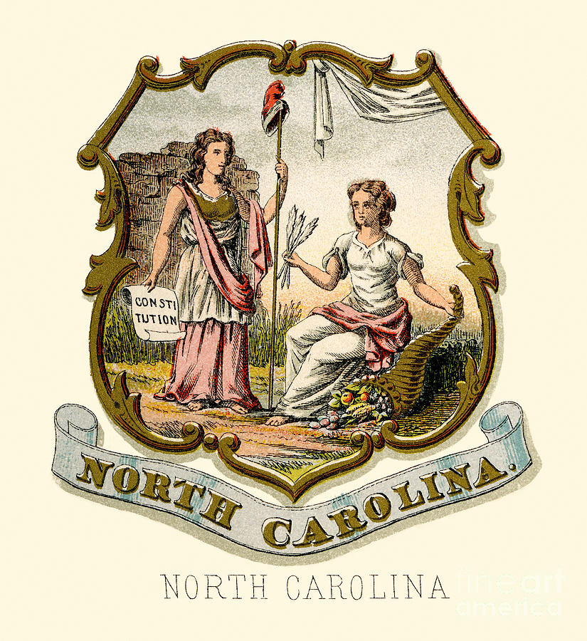North Carolina  State Arms of the Union  Painting by Celestial Images