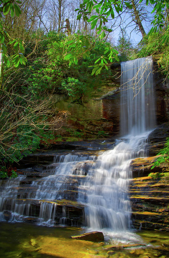 North Carolina Waterfall and Laurel Photograph by Ina Kratzsch - Fine ...