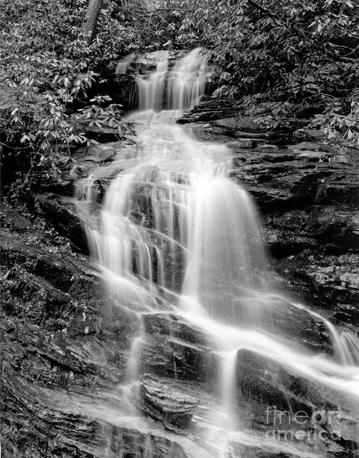 North Carolina Waterfall Photograph by David Waldrop