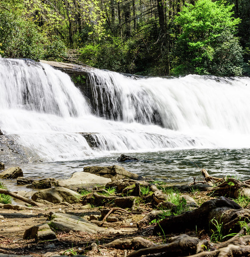 North Carolina Waterfall Photograph by Tammy Ray
