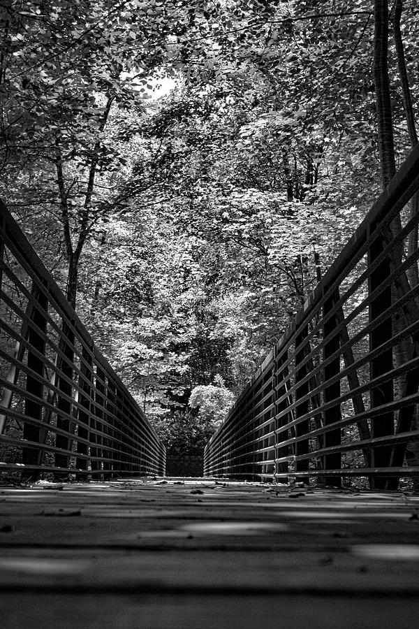 North Cary Walking Bridge Photograph by Selena Lorraine - Fine Art America