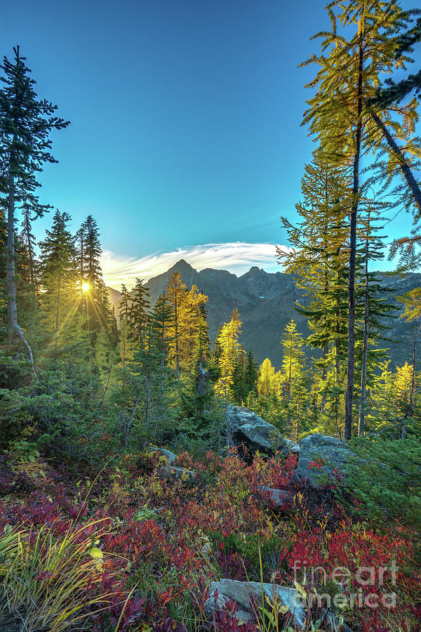 North Cascades Fall Colors Sunstar Photograph by Mike Reid