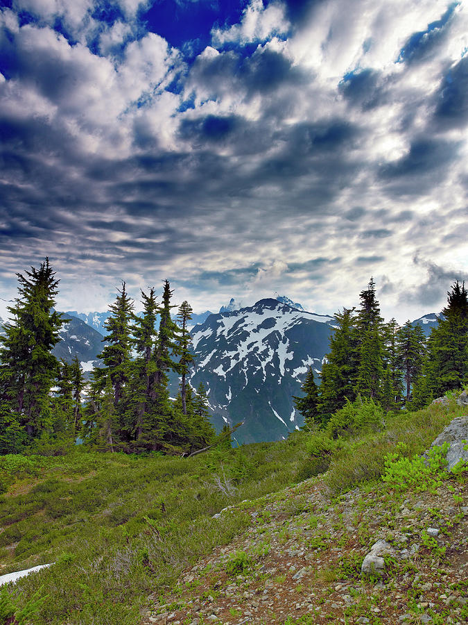 North Cascades National Park - Washington Photograph by Brendan Reals