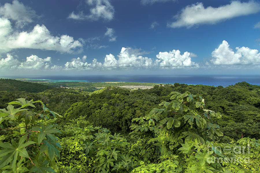 Landscape Photograph - North Coast Jamaica by David Madden