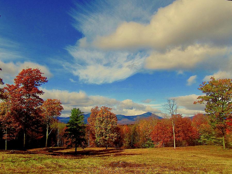 Tree Photograph - North Country Autumn by Elizabeth Tillar