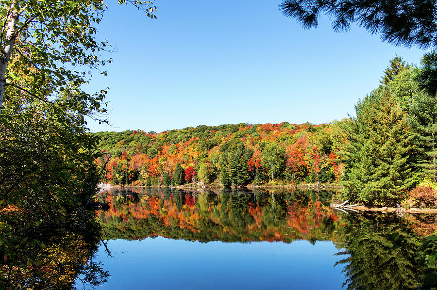 North Country Photograph by Nancy Comley - Fine Art America