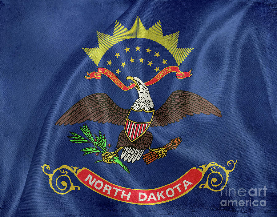 North Dakota Flag Photograph by Jon Neidert