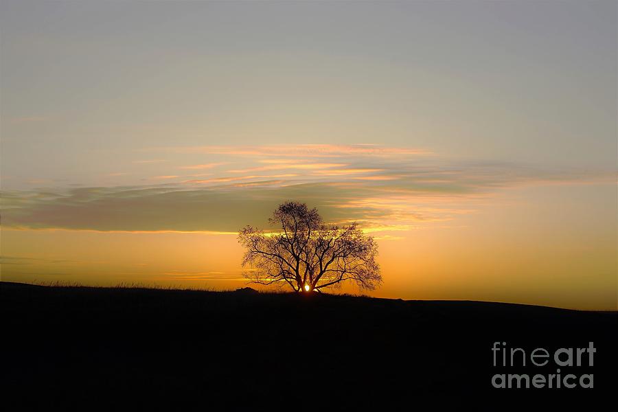 North Dakota sunrise Photograph by Merle Grenz