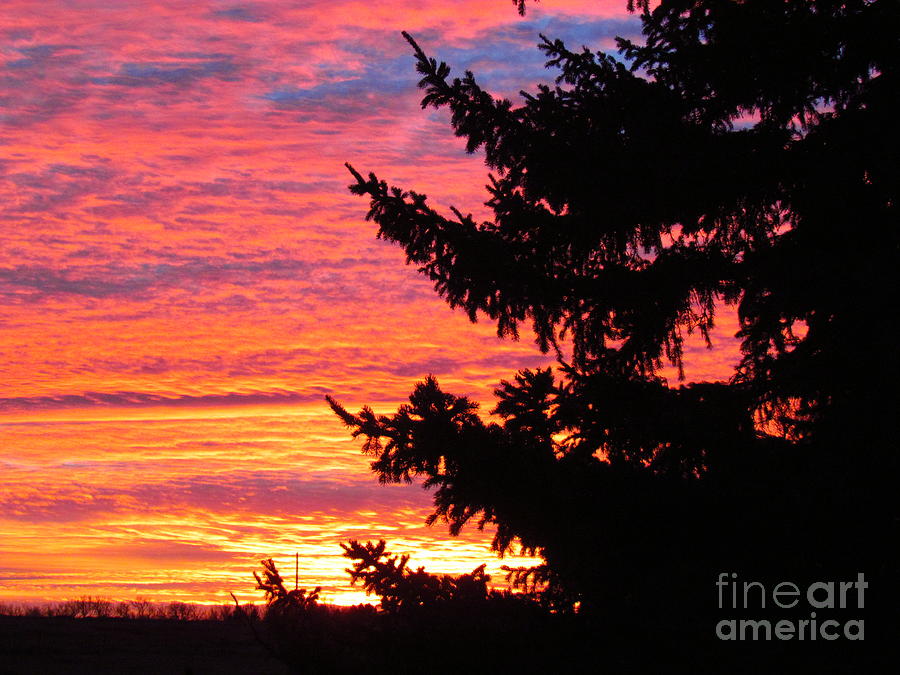 North Dakota Sunset Photograph by Delynn Addams