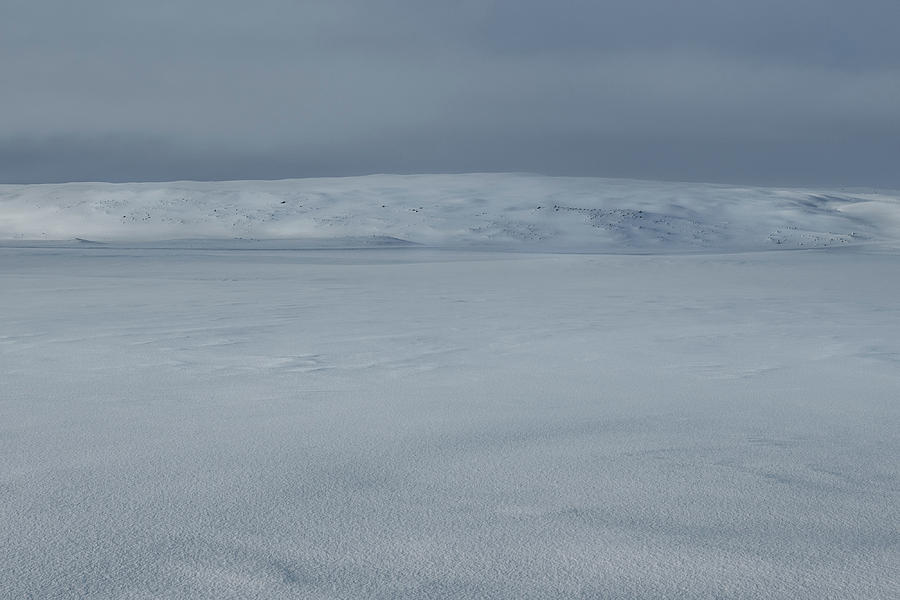 North East Iceland Plateau Photograph by Andy Astbury