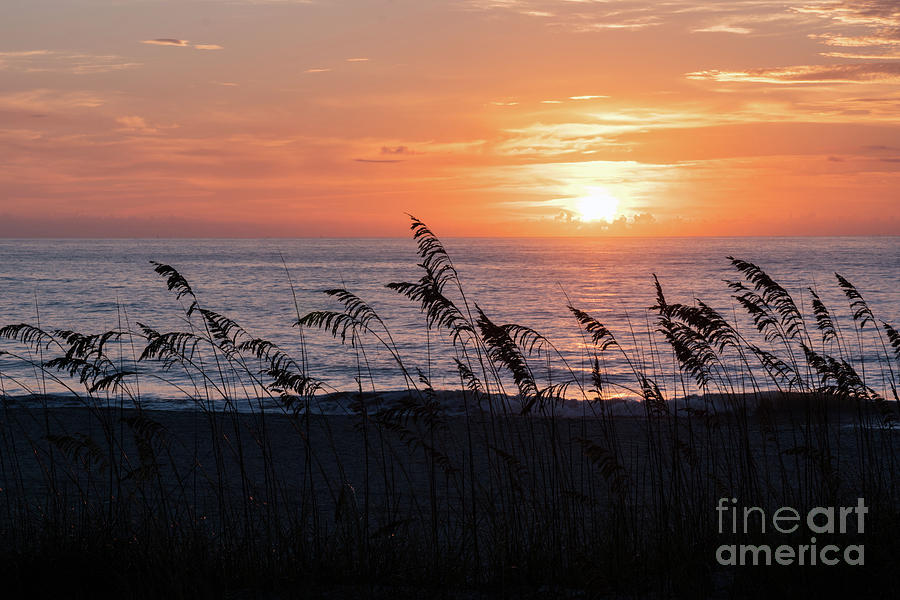 North End Sunrise, Amelia Island, Florida Photograph by Dawna Moore Photography