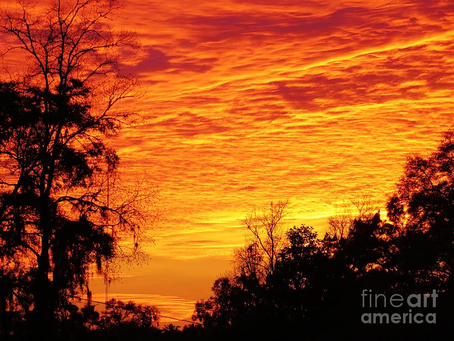 North Florida Sunset Photograph by Tim Townsend
