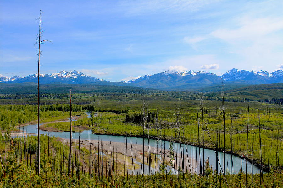 North Fork Flathead River Photograph by Nicholas Miller - Pixels