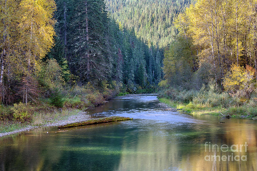 North Fork Gold Photograph by Idaho Scenic Images Linda Lantzy