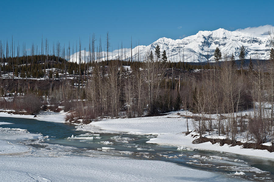 North Fork of Flathead River Photograph by Jedediah Hohf
