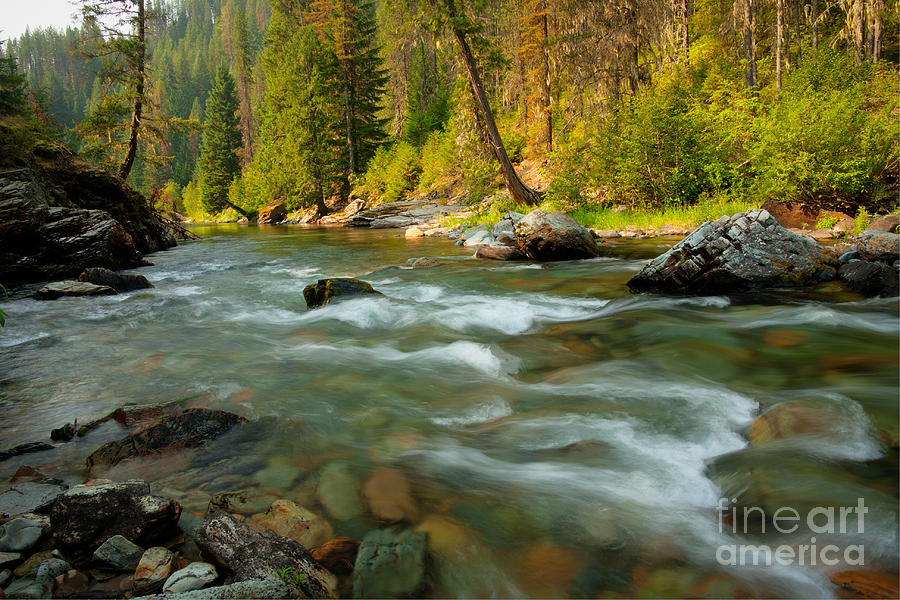 Nature Photograph - North Fork of the St. Joe by Idaho Scenic Images Linda Lantzy