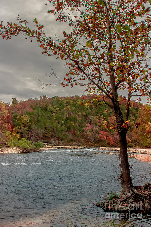 North Fork Of The White River Photograph by Robert Frederick