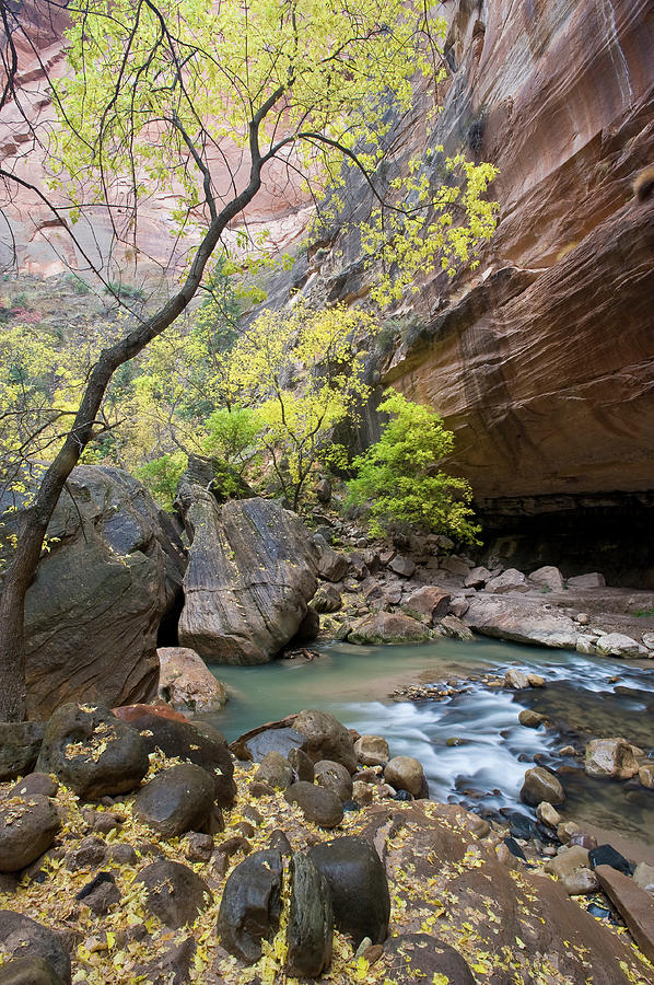 North Fork Of Virgin River In Black And White, Zion N.p. Photograph By 