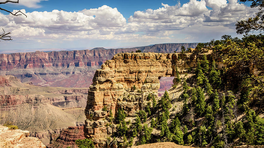 Arizona Photograph - North Grand Canyon - Angels Window by Debra Martz