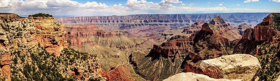 North Grand Canyon - Walhalla Overlook Photograph by Debra Martz