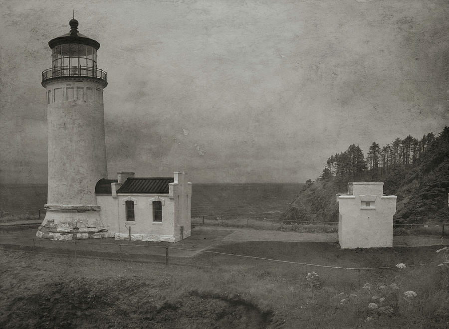  North Head Lighthouse Postcard Photograph by Alan Kepler