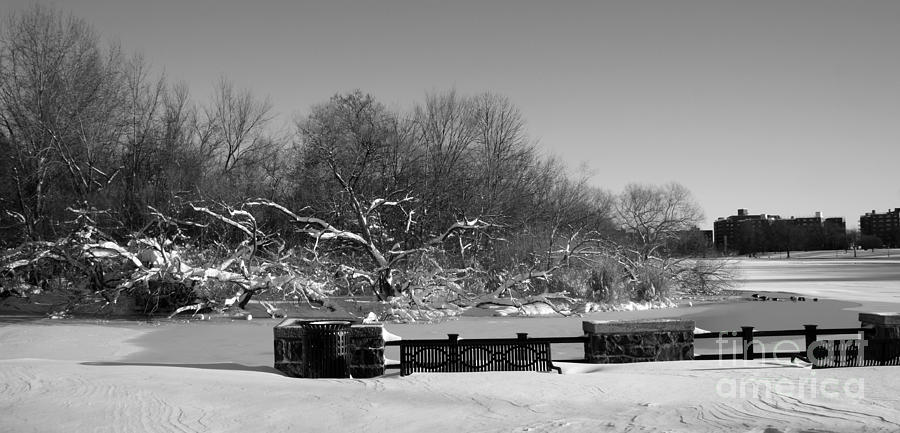 North Hudson Park Lake in Winter Photograph by Lilliana Mendez