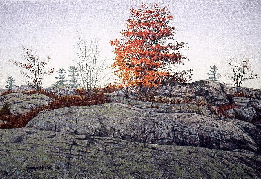 North of Peterborough Painting by Conrad Mieschke