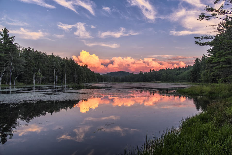 North Pond Sunset Photograph by Tom Singleton