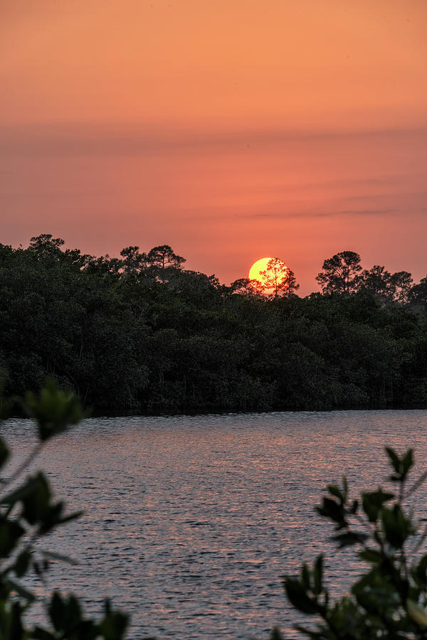 North Port Sunset Photograph by Tom Singleton