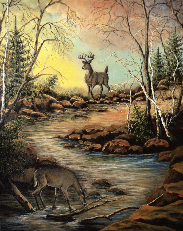 Deer Painting - North Shore Hidden Creek by Kimberly Benedict