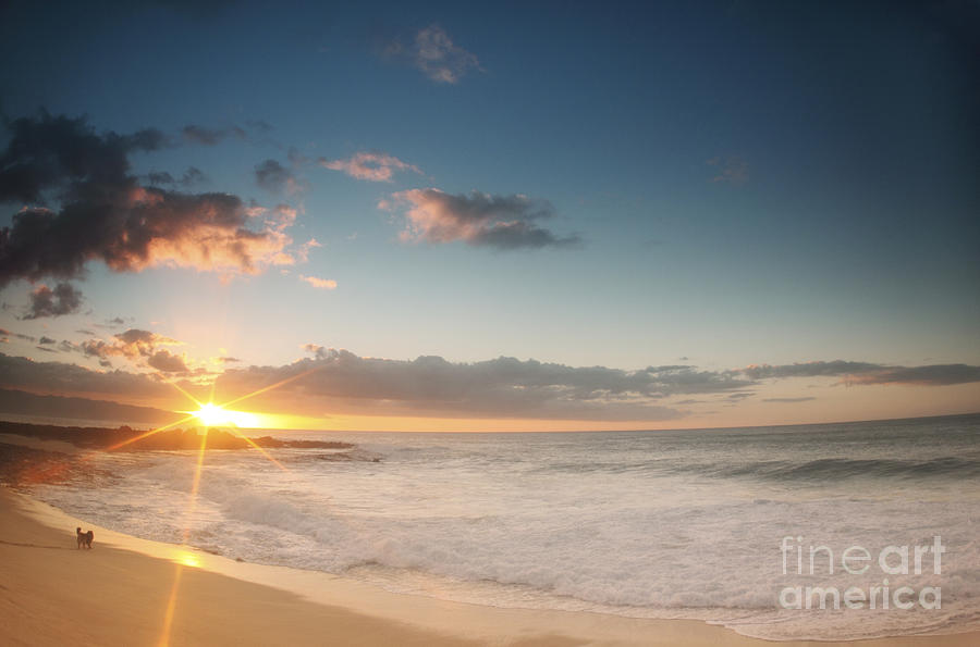 Paradise Photograph - North Shore Oahu Sunset by Vince Cavataio - Printscapes