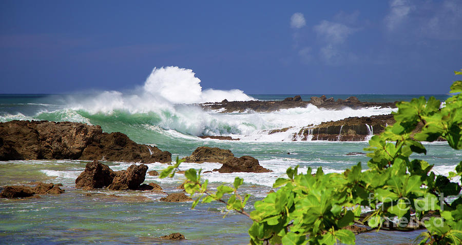 North Shore Waves Photograph by Bruce Block