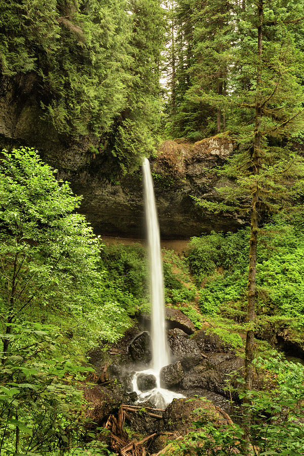 North Silver Falls Photograph by Mary Jo Allen